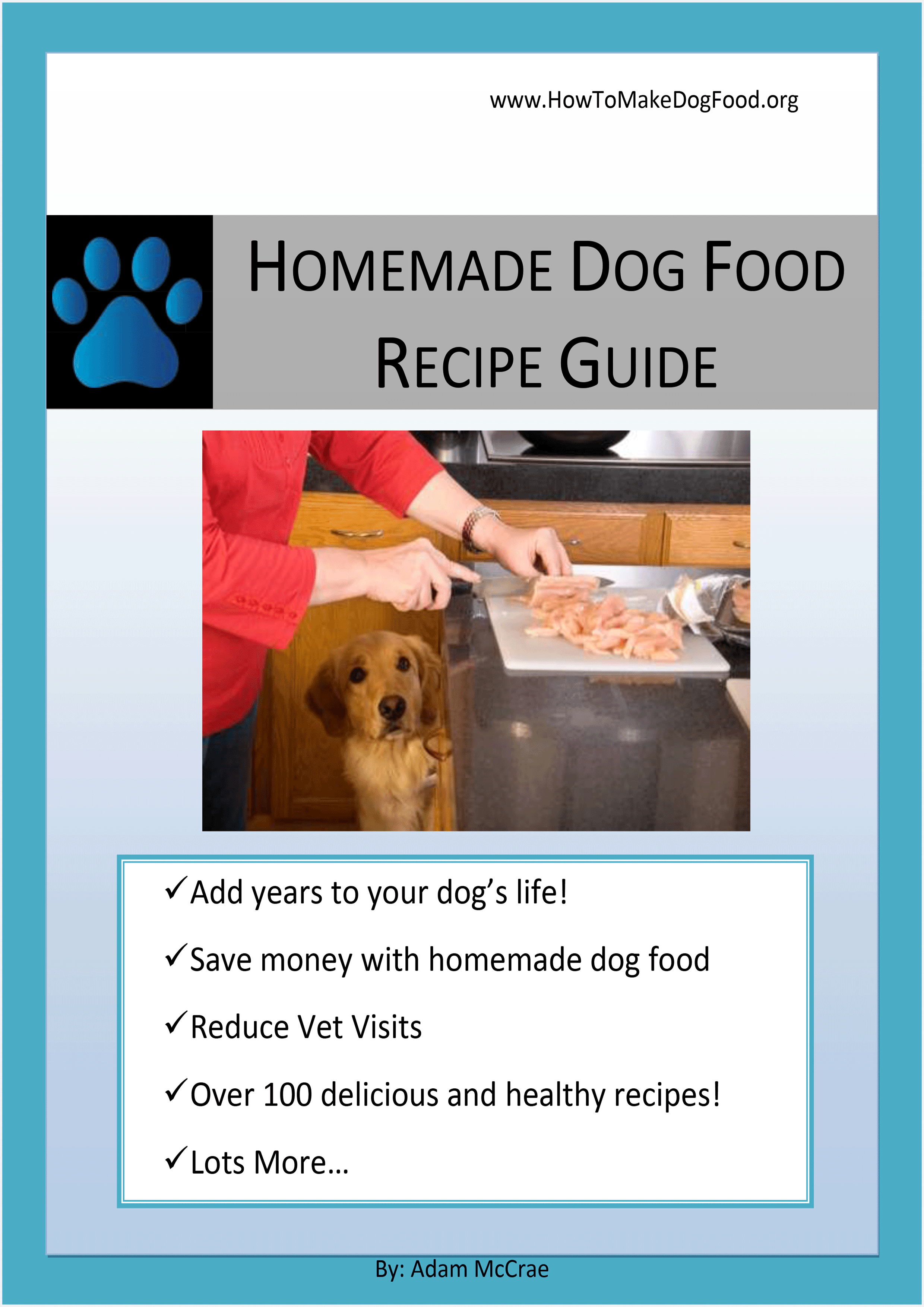 Homemade Dog Food 