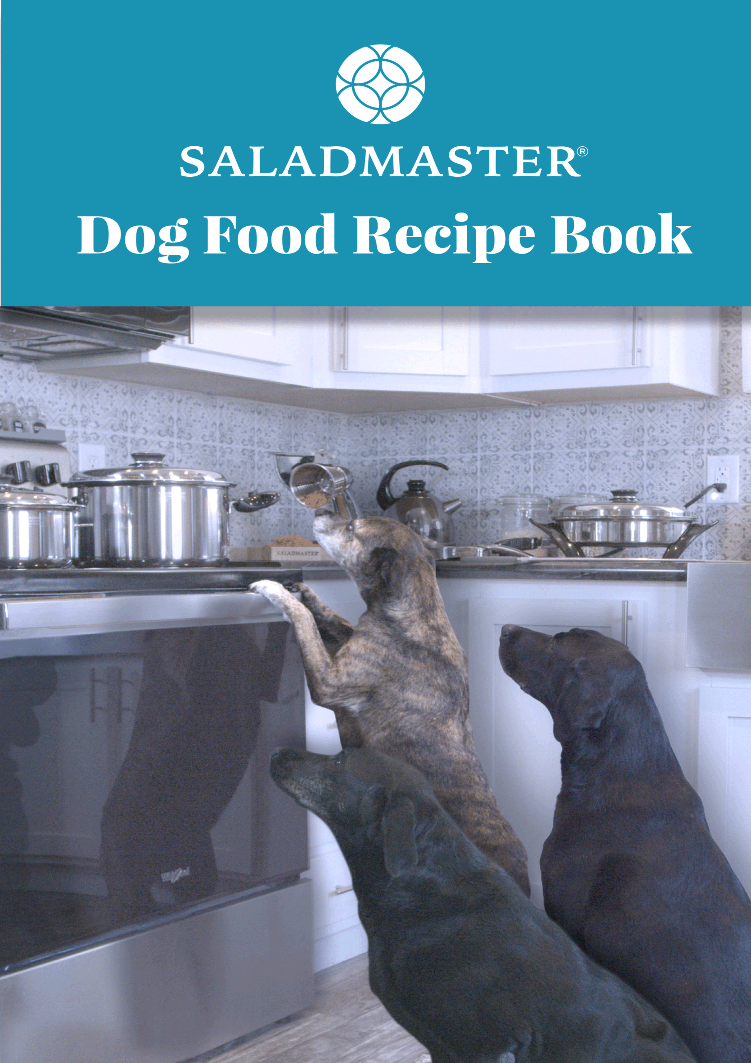 dog food recipe book